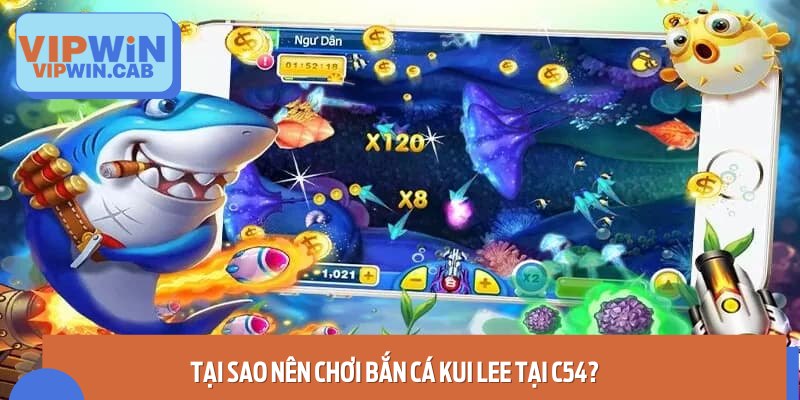 Lý do bạn nên chọn C54 để trải nghiệm thế giới bắn cá Kui Lee