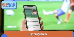 luat ca do bong da 1