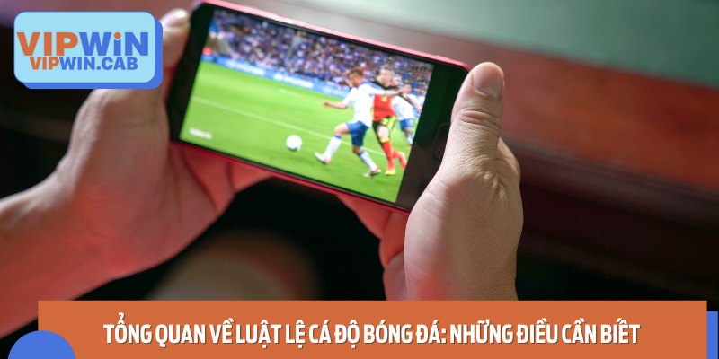 Tổng quan về luật cá độ bóng đá