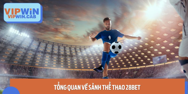 Thông tin cơ bản về Thể thao 28BET