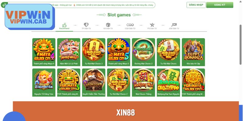 xin88 1