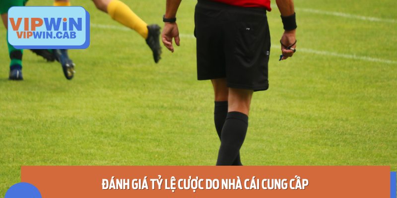 Đánh Giá Tỷ Lệ Cược Do Nhà Cái Cung Cấp